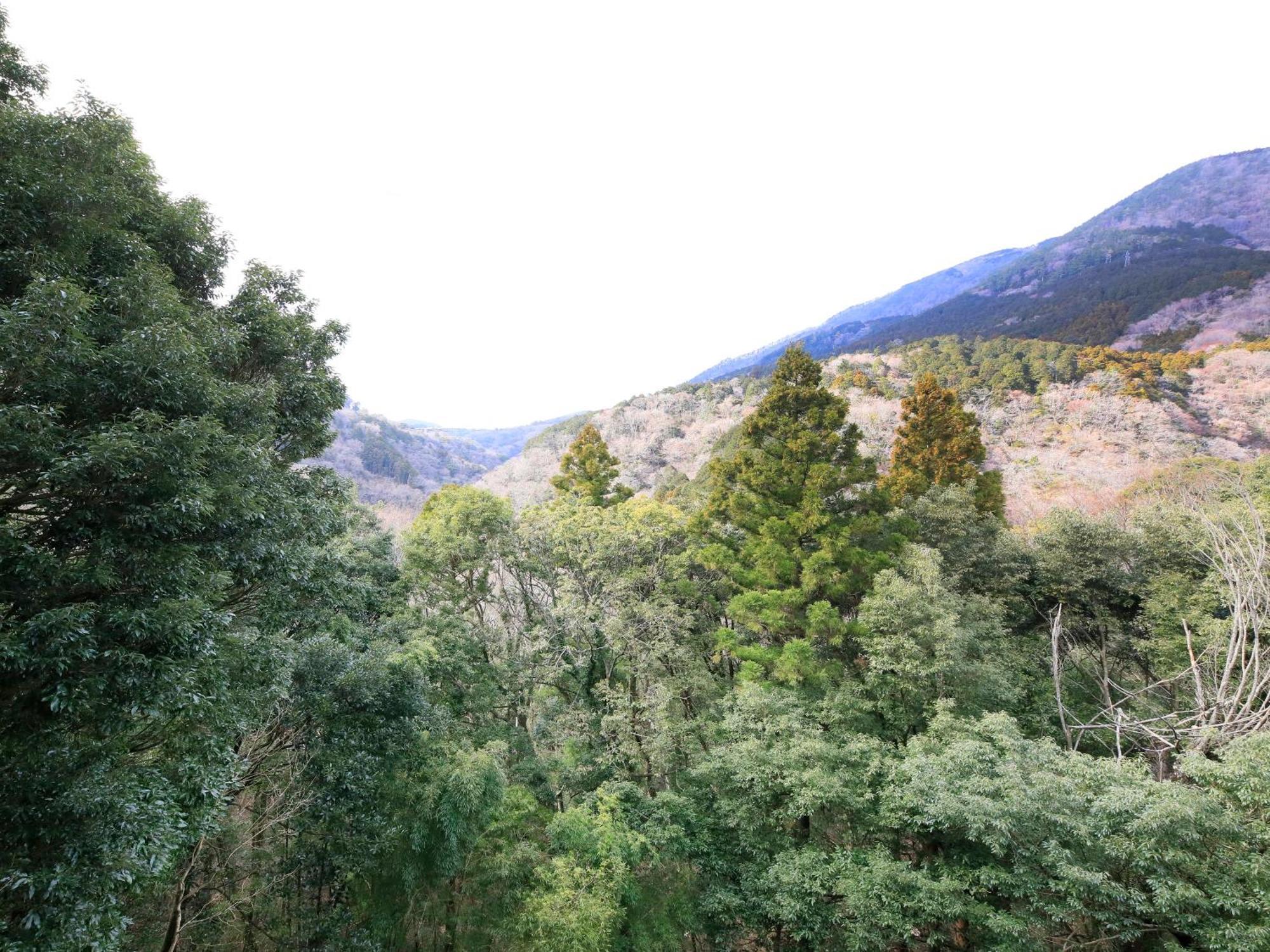 Hot Spring Inn Hakone Suisen Eksteriør billede