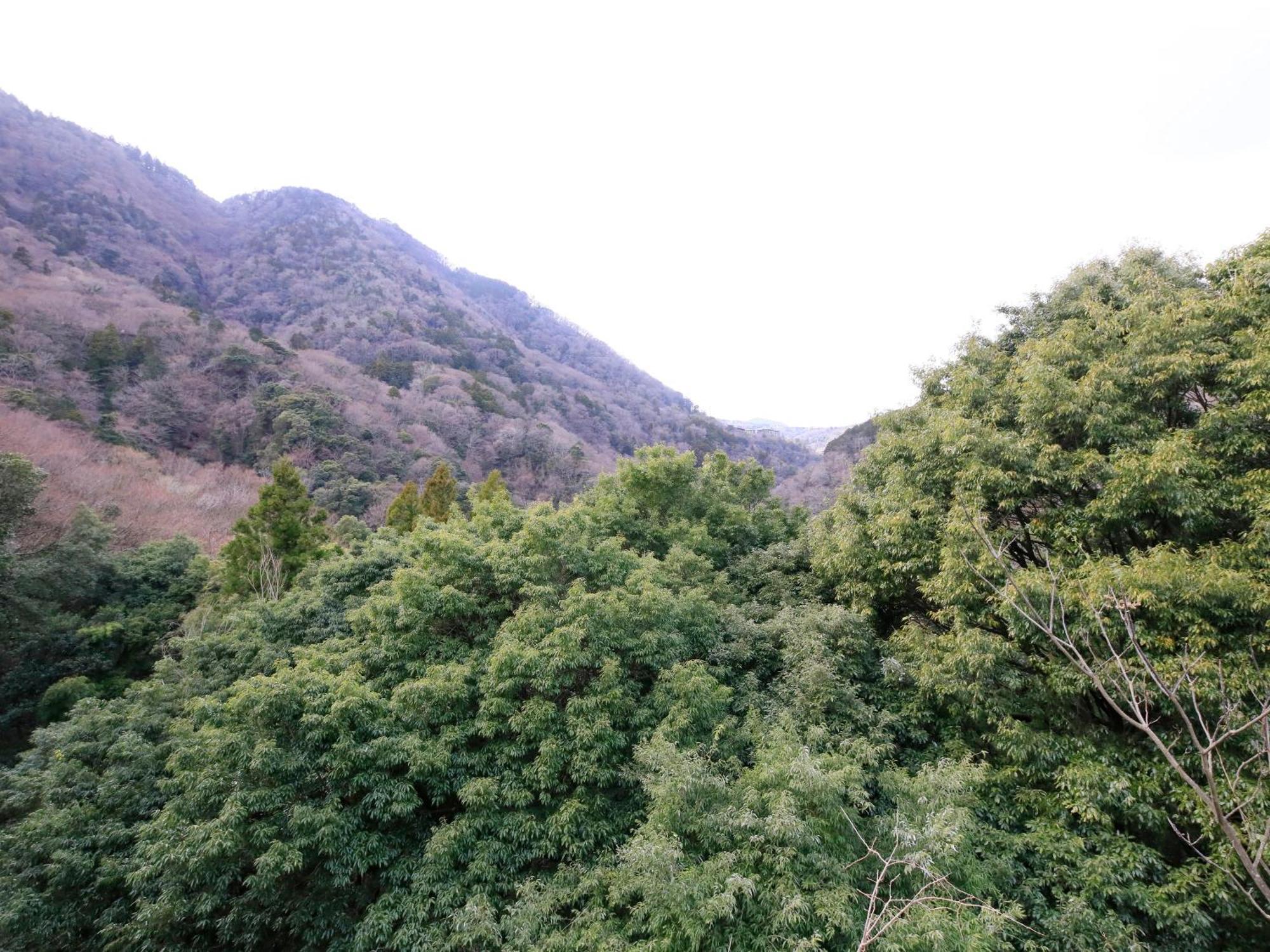 Hot Spring Inn Hakone Suisen Eksteriør billede